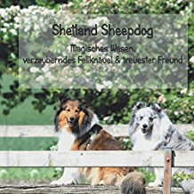 Buch Sheltie Geschichten 02