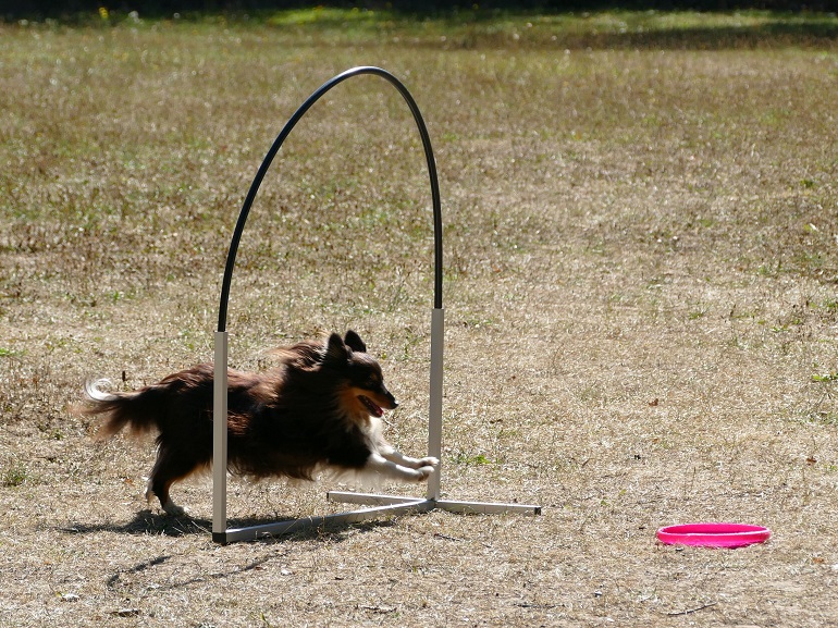 Ausbildung Hoopers 01