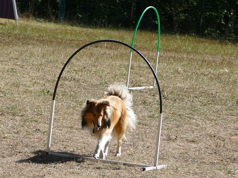 Ausbildung Hoopers 02