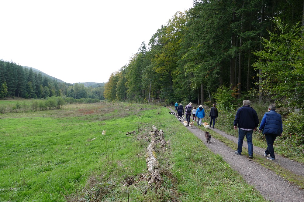 Bild Freizeit Wanderung