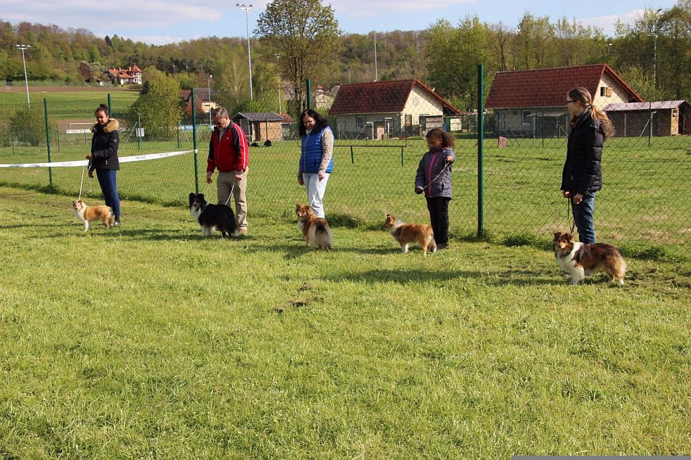 Ringtraining Bild 01