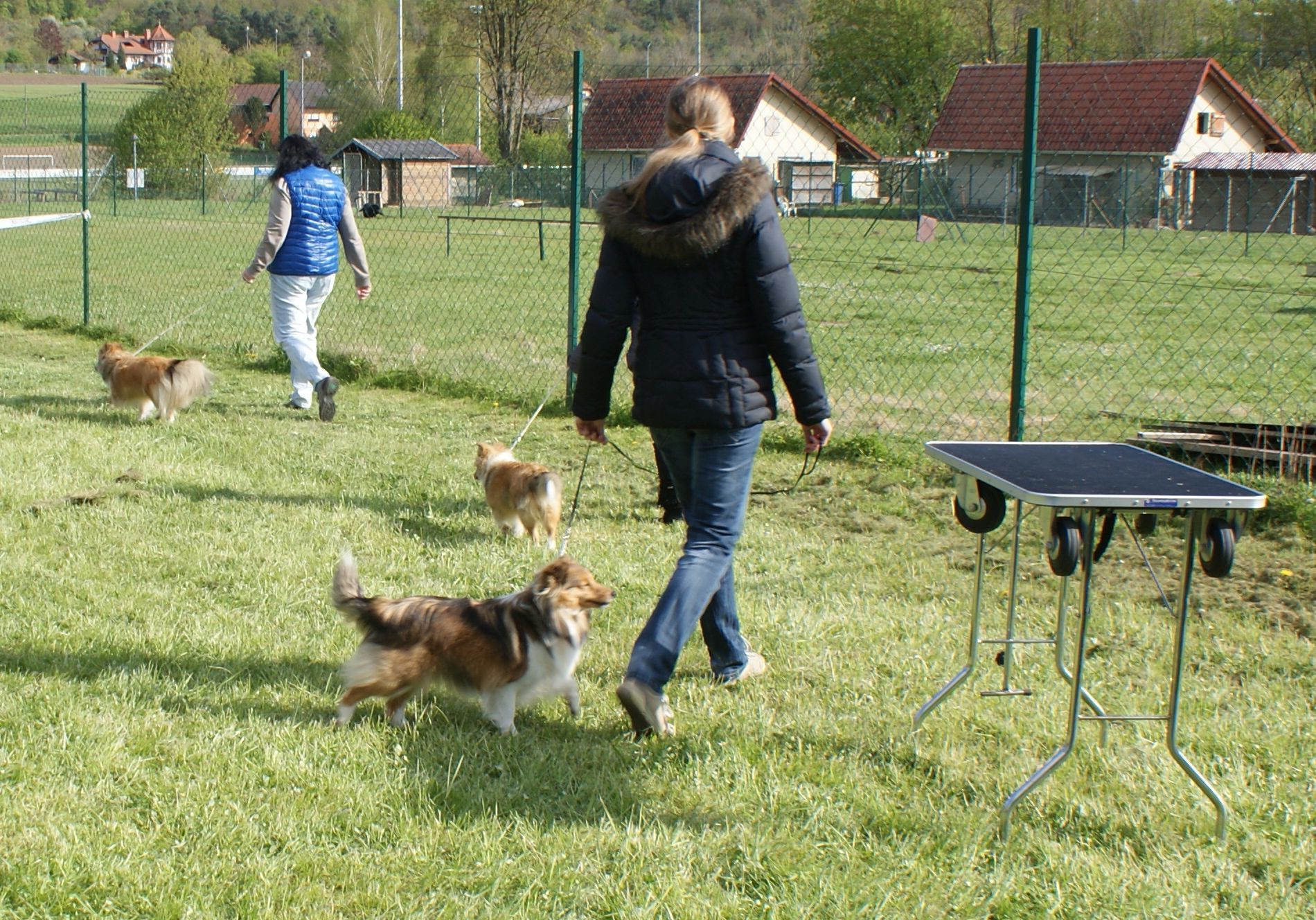 Ringtraining Bild 02