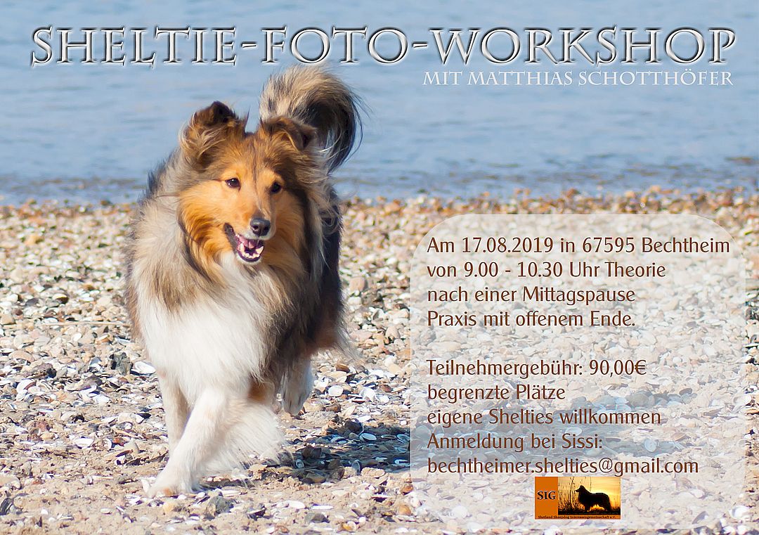 Fotoworkshop 17082019