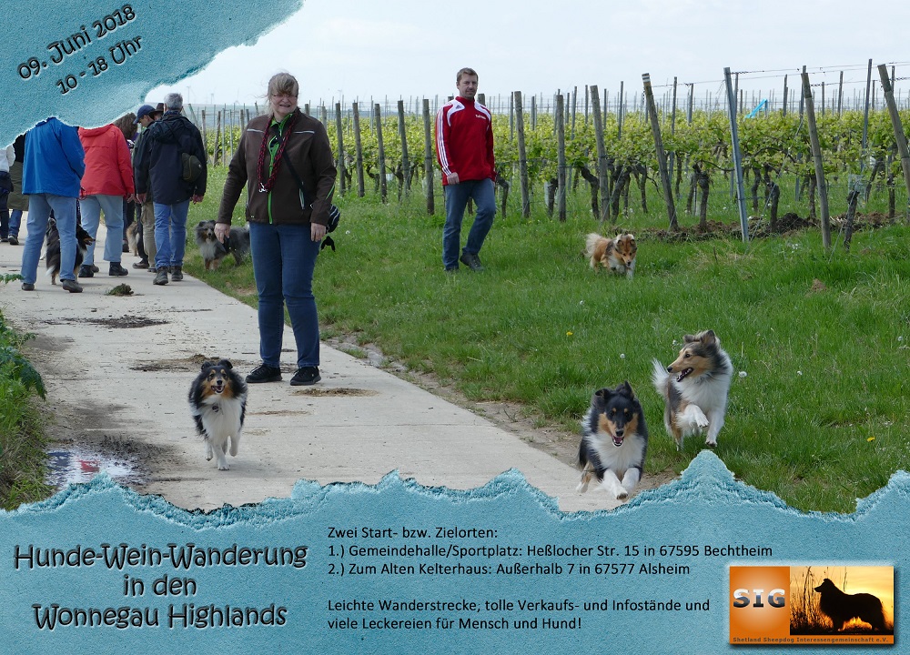 Hunde Wein Wanderung2018SIG 1