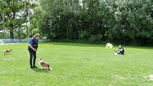 Sommerfest 23062018 Bericht 14